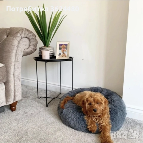 Пухено гнездо легло за куче или котка 3164, снимка 17 - За кучета - 52774656