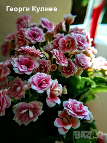 Фотоапарат NBD с обектив и аксесоари , снимка 11 - Фотоапарати - 51414757