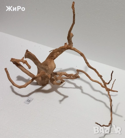 Корен от Азалия /декорация/ 16, снимка 2 - Други - 53401565