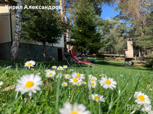 Добре дошли във Вила Мария – Вашето място за отдих сред сърцето на Родопите , снимка 4 - Почивки на планина - 50501696