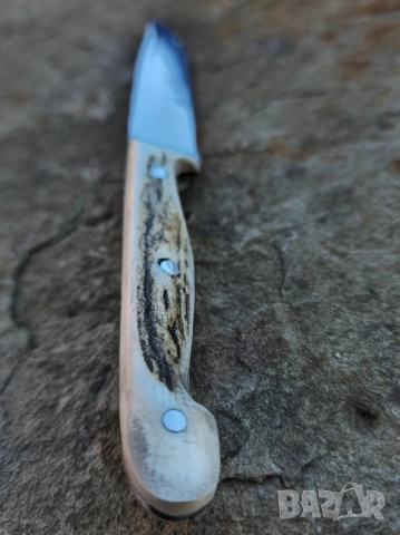 Ножче от еленски рог , снимка 5 - Ножове - 52113439
