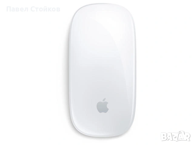 Apple Mouse