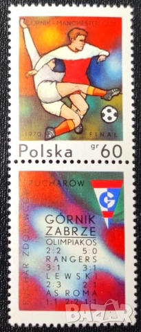 Полша, 1970 г. - лот марки на теми птици, личности, футбол, изкуство, космос, гоблени и др., снимка 6 - Филателия - 53302653