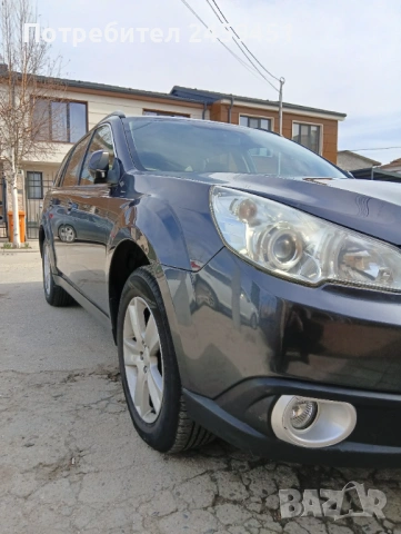 Професионално пастиране, снимка 14 - Пастиране - 45295856