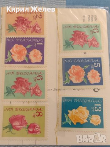 Пощенски марки серия ЦВЕТЯ от соца редки за КОЛЕКЦИОНЕРИ 45788, снимка 6 - Филателия - 46288162