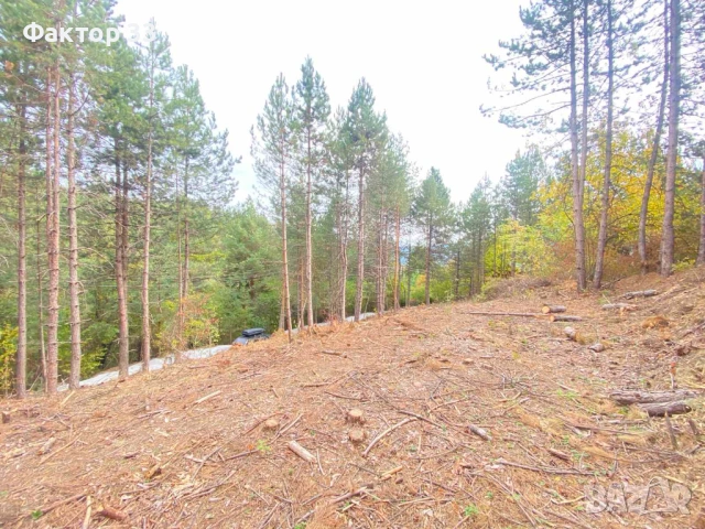 ВЕЛИКОЛЕПНИ ПАРЦЕЛИ  с ВИЗИ в  кв.Бистрица/ Панчарево , снимка 3 - Парцели - 53283886