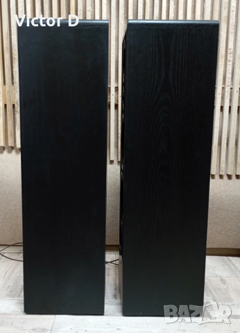 CANTON Ergo 91 DC - Тонколони , снимка 9 - Тонколони - 53509952