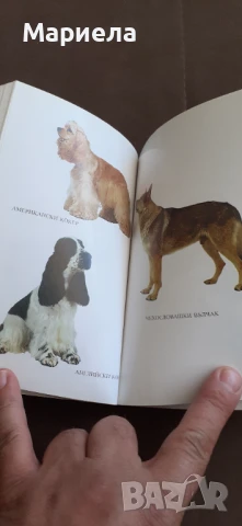 Кучета и други животни , снимка 6 - Специализирана литература - 50879058