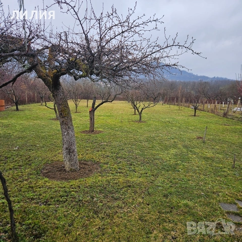 ВИЛЕН ИМОТ, Вачански лозя, м. Янкин връх, снимка 11 - Вили - 53935273