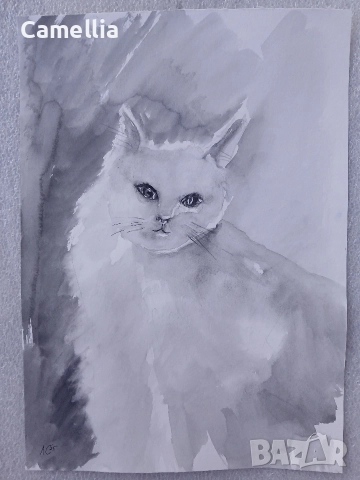 Картина: "Бяла котка" акварел 