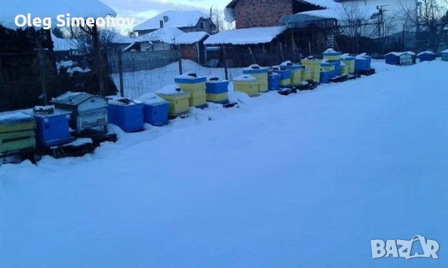 Продавам пчелни рамки и пчеларски инвентар , снимка 1