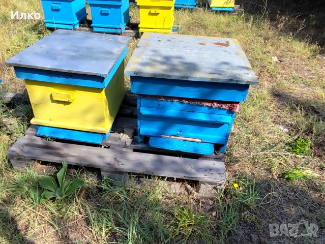 Пчелни кошери , снимка 2 - За пчели - 51451671