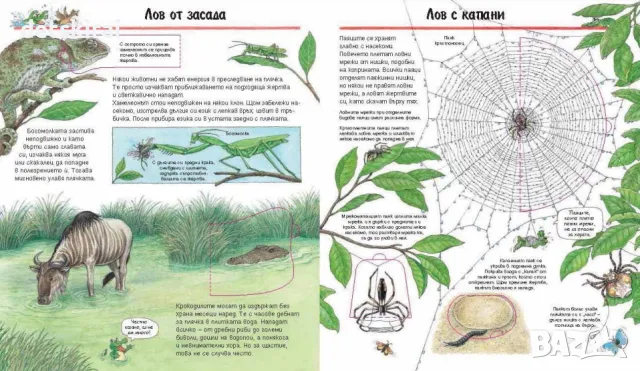 КНИГА • ОПАСНИ ЖИВОТНИ • ЗАЩО? КАКВО? КАК? – НАД 4 ГОДИНИ, снимка 2 - Детски книжки - 48820055