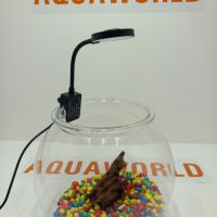 "Безплатна доставка " Нано аквариум 5 литра с LED лампа , снимка 4 - Оборудване за аквариуми - 45505303