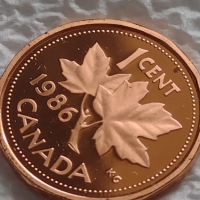 Лот монети 12 броя Канадски долари, центове непипани мат гланц перфектно състояние 42642, снимка 13 - Нумизматика и бонистика - 45021211