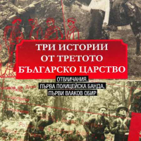 Три истории от Третото българско царство - Андрея Илиев, снимка 1 - Други - 44975827