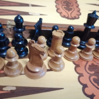Шах за игра с фигури и пулове , снимка 3 - Образователни игри - 45073771