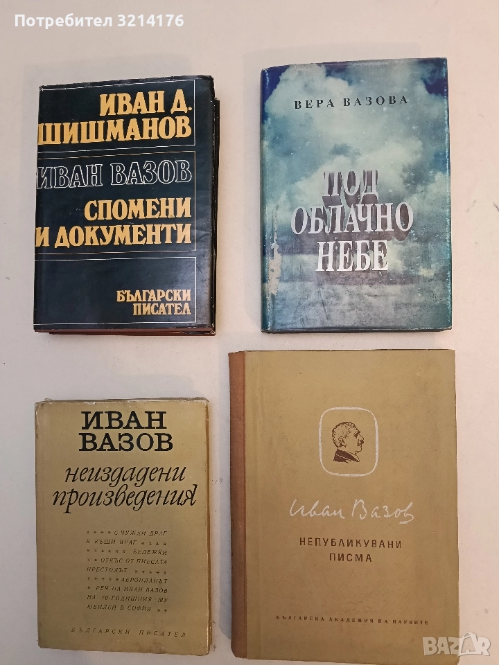 Под облачно небе - Вера Вазова, снимка 1