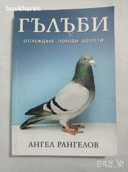 Ангел Рангелов: Гълъби, снимка 1