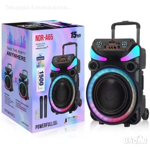 Караоке тонколона 15" Woofer NDR-A65, снимка 1