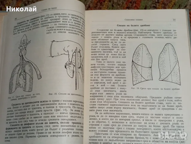 Практическо ръководство по патологична анатомия, снимка 9 - Специализирана литература - 47939659