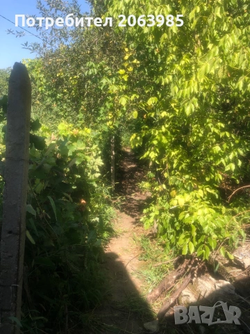 Къща с двор и геран, снимка 16 - Къщи - 53751952