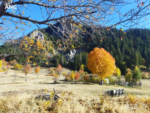 Продава парцел в Смолянски езера , снимка 4 - Парцели - 52178672