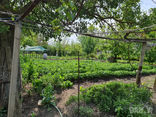 Продавам къща в кв. Бряг, снимка 11 - Къщи - 50384874