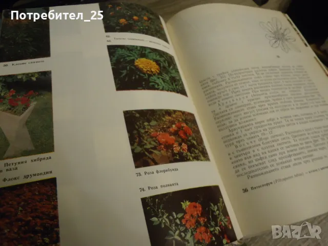 Книга за всеки ден и за всеки дом, снимка 7 - Други - 50148169