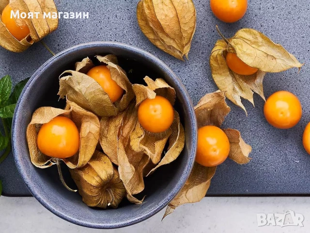 Физалис - physalis, снимка 13 - Градински цветя и растения - 53650459