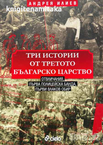 Три истории от Третото българско царство - Андрея Илиев, снимка 1 - Други - 44975827