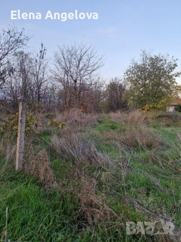 Два парцела в с. Чешнегирово, УПИ 1085 кв, УПИ 2036 кв, снимка 18 - Парцели - 52515241