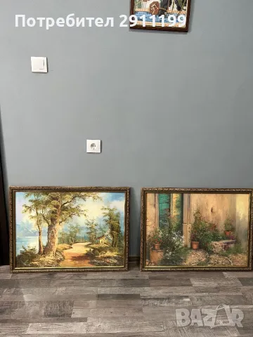 Голяма картина – комплект от две