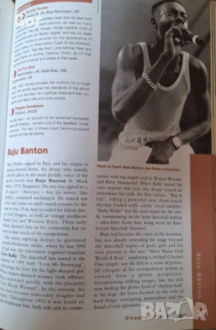 ПРОДАВАМThe Rough Guide to Reggae – 3rd Edition, снимка 6 - Колекции - 54157445