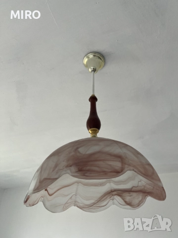 Полилей внос от Холандия, снимка 5 - Полилеи - 52500764