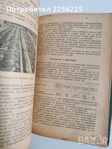 Парниково и оранжерийно зеленчуко производство, снимка 5 - Специализирана литература - 53949677