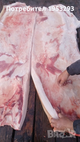 Прясна шарена сланина от бяла българка, снимка 7 - Прасета - 52914445