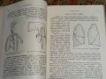 Практическо ръководство по патологична анатомия, снимка 9