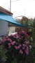 Продава къща град Варна , снимка 3