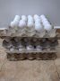 Продава оплодени яйца от бял Легхорн и Ломан Браун , снимка 1 - други­ - 45250586