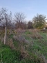 Два парцела в с. Чешнегирово, УПИ 1085 кв, УПИ 2036 кв, снимка 18