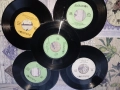 лот 25 малки грамофонни плочи Балкантон, снимка 6