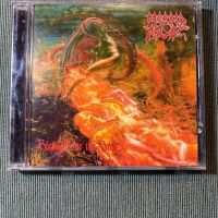 Morbid Angel,Carnivore , снимка 2 - CD дискове - 45101949
