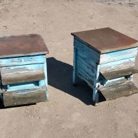 Пчелни кошери, снимка 1 - За пчели - 45267833