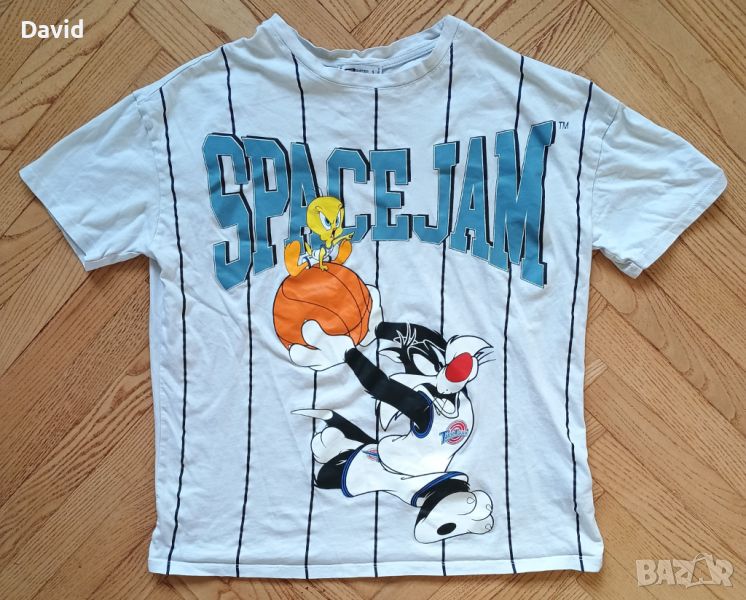 Тениска Space Jam Tweety and Sylvester, снимка 1