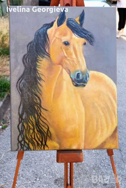 Портрет на 🐎, снимка 1