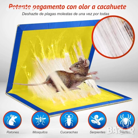 SimpleTraps Капани за мишки и плъхове X5. Лепило с аромат на фъстъци, снимка 6 - Други стоки за дома - 51410254