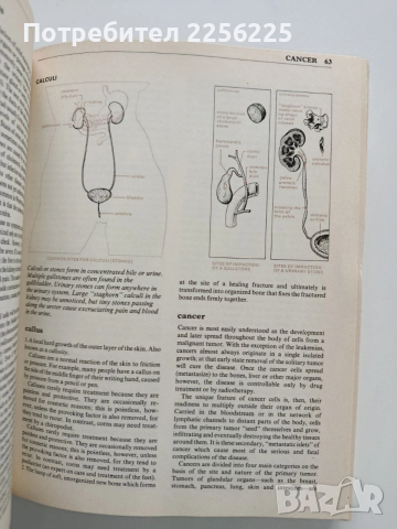 Семейна медицинска енциклопедия/Илюстровано ръководство, снимка 10 - Енциклопедии, справочници - 53402398