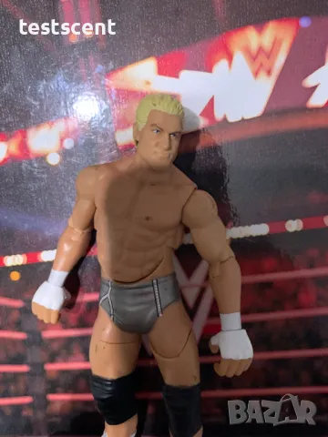 Екшън фигура WWE Dolph Ziggler Nic Nemeth Долф Зиглър Mattel figure играчка Basic Series Grey Action, снимка 6 - Други - 48830926