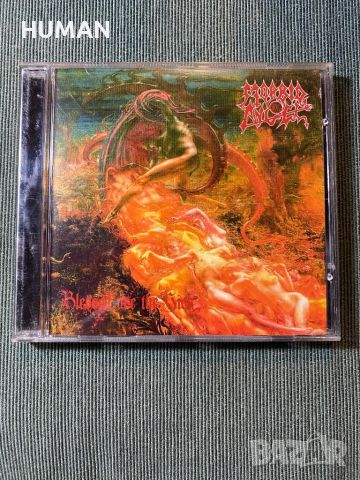 Morbid Angel,Carnivore , снимка 2 - CD дискове - 45101949